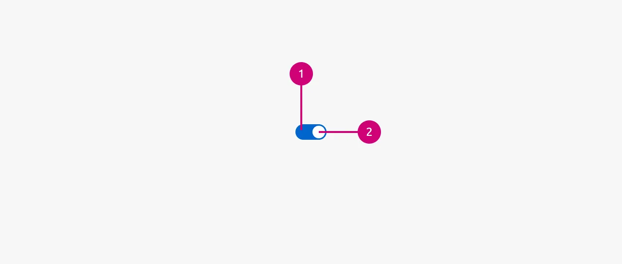 Switch anatomy